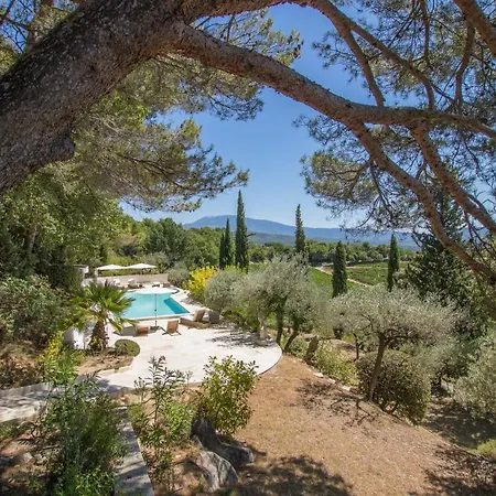 Nymphee * Vaison-la-Romaine