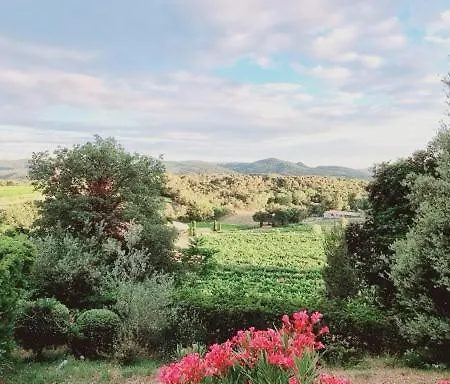 Nymphee Bed & Breakfast Vaison-la-Romaine